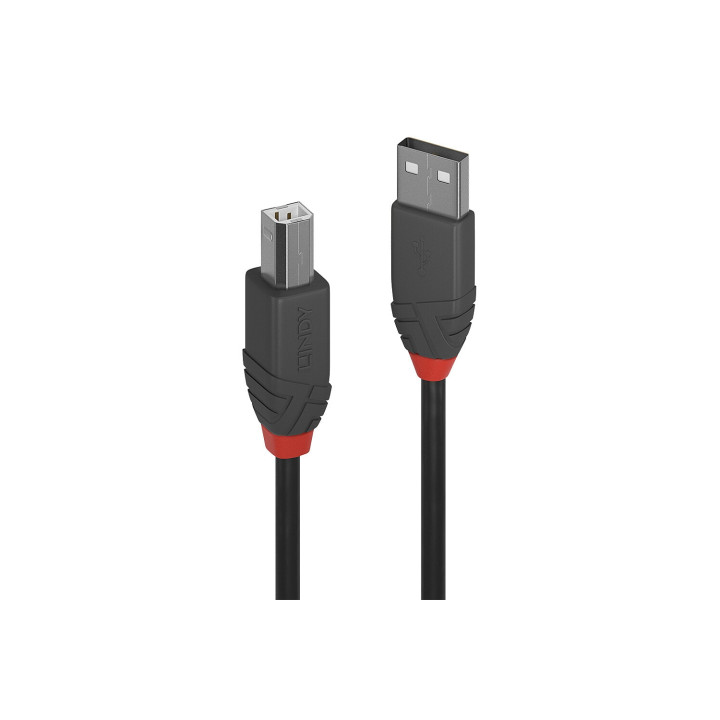 Lindy 36673 cable USB 2 m USB 2.0 USB A USB B Negro