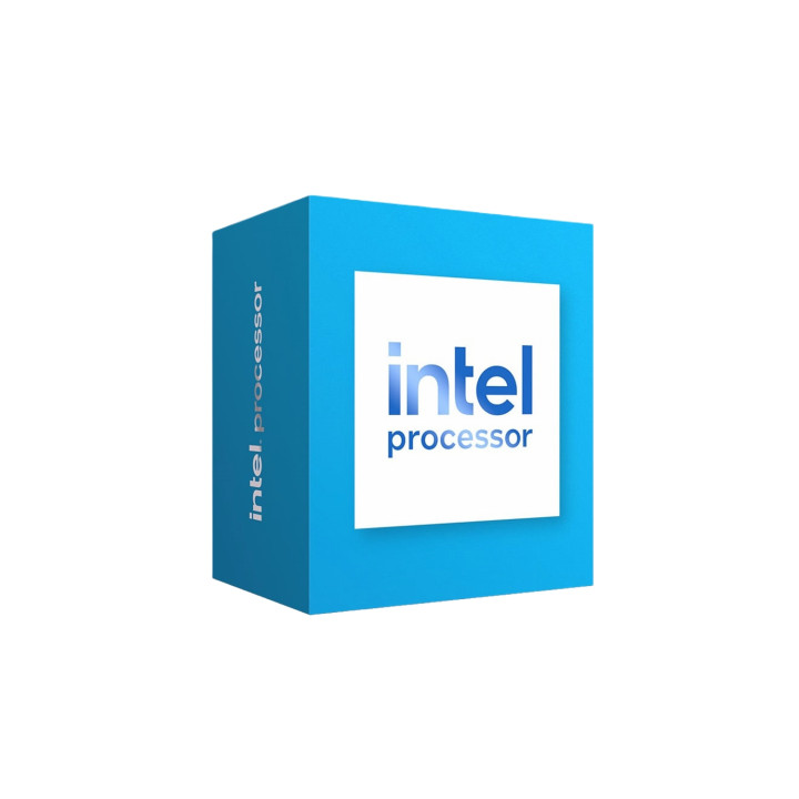 Intel 300 procesador 6 MB Smart Cache Caja