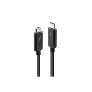 Lindy 41557 cable Thunderbolt 2 m 20 Gbit/s Negro