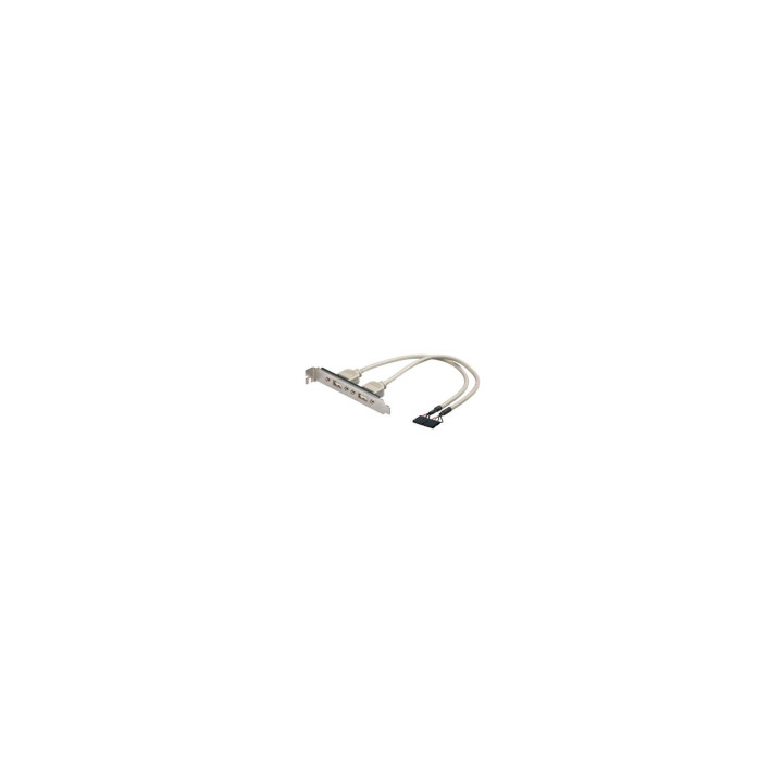ADAPTADOR 2 X 5 PIN A USB H EWENT EW-100303-002-G-P