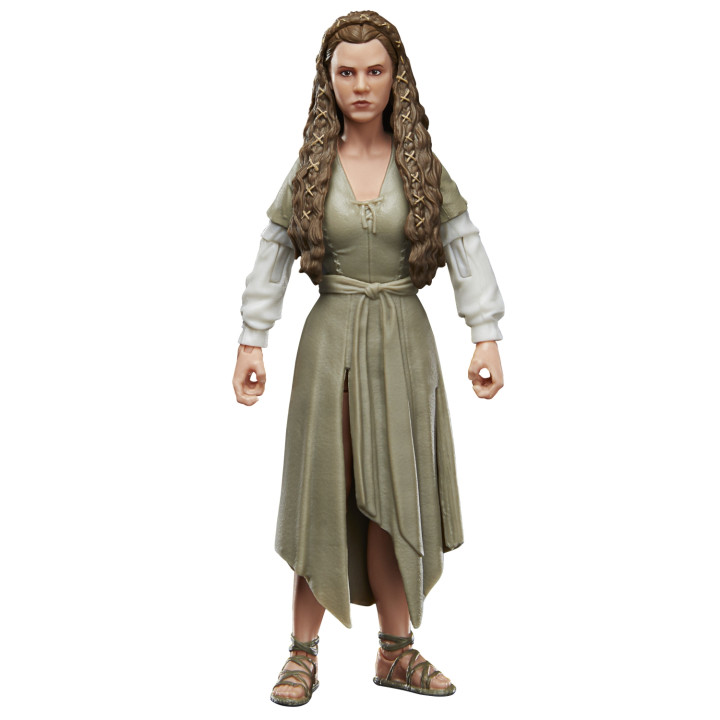 Star Wars The Black Series F43525X0 toy figure