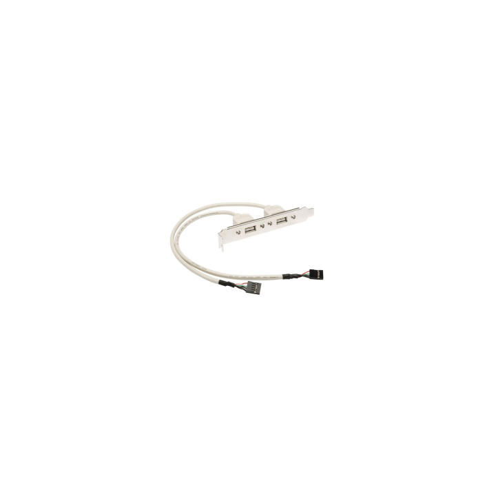 ADAPTADOR USB A H A 2X USB A H STARTECH USBPLATE