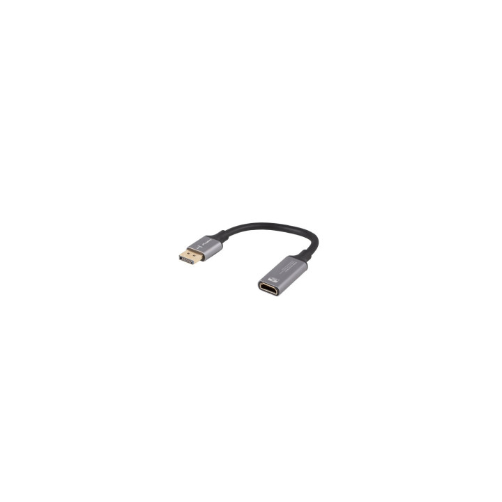 Lanberg AD-DP-HD-02 adaptador de cable de vídeo 0,2 m DisplayPort HDMI Plata