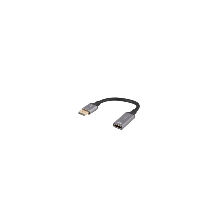 Lanberg AD-DP-HD-04 adaptador de cable de vídeo 0,2 m DisplayPort HDMI Plata, Negro