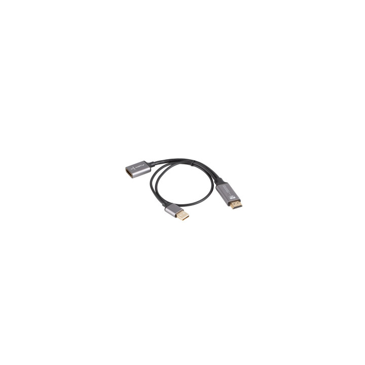 Lanberg AD-HD-DP-02 adaptador de cable de vídeo 0,2 m HDMI tipo A (Estándar) DisplayPort Plata
