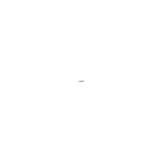 APPLE MAGIC MOUSE WHITE