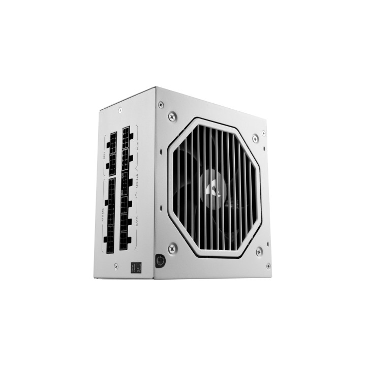 Sharkoon Rebel P20 unidad de fuente de alimentación 750 W 24-pin ATX ATX Blanco