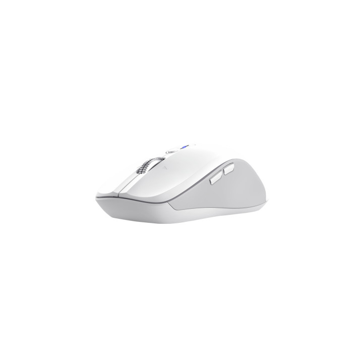 Trust 25674 ratón Universal Ambidextro Bluetooth 3200 DPI