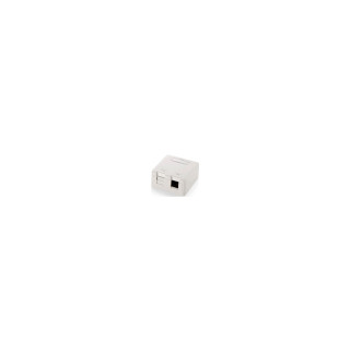 CAJA DE SUPERFICIE KEYSTONE PARA 2 ROSETAS BLANCO 125122
