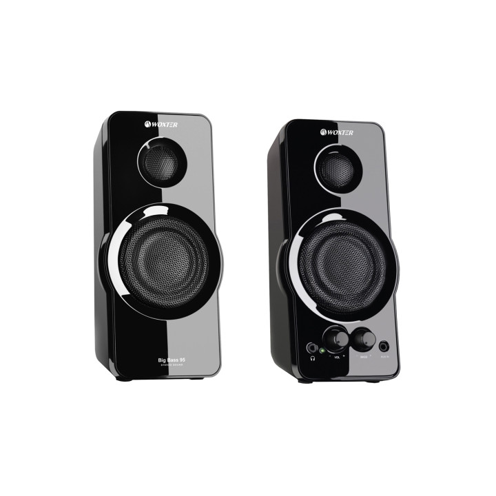 ALTAVOCES WOXTER BIG BASS 95 2.0 - 20W