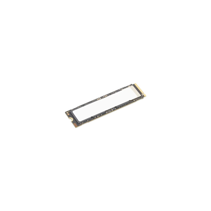 Lenovo 4XB1S30112 unidad de estado sólido 1 TB M.2 PCI Express 5.0 NVMe