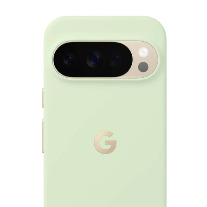 Google Pixelsnap funda para teléfono móvil 17,3 cm (6.8") Verde