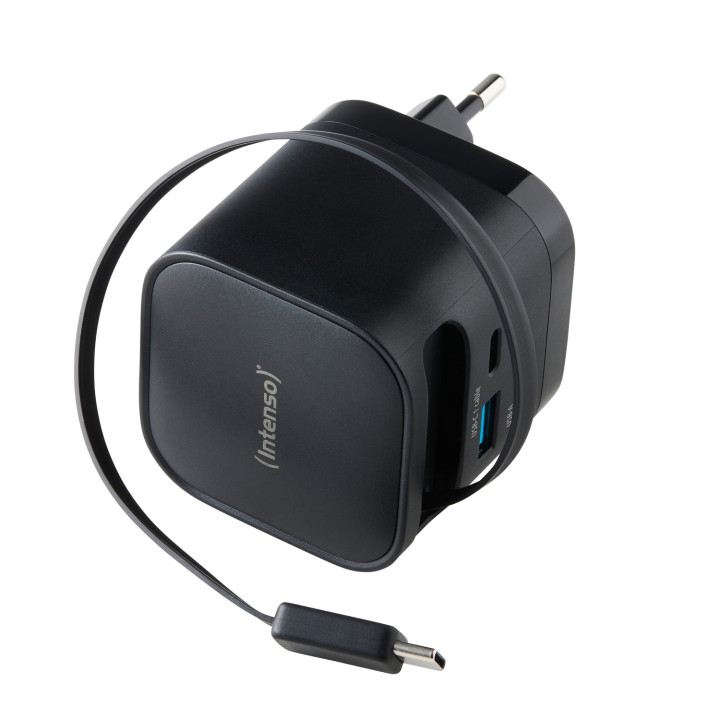 Intenso 7806520 adaptador e inversor de corriente Interior 65 W Negro