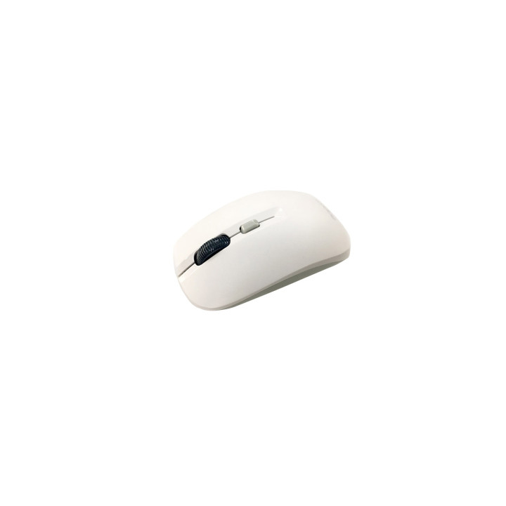 RATON INALAMBRICO APPROX OPTICO BLANCO APPXM180W
