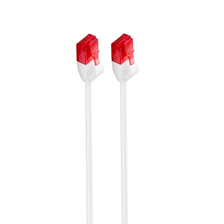 Ewent IM1035 Latiguillo de red rj45 Cat6 U/UTP 0.25m blanco
