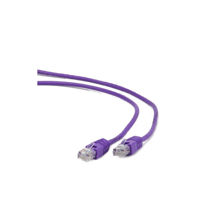 Gembird RJ45/RJ45 Cat5e 0.5m cable de red Púrpura 0,5 m U/UTP (UTP)