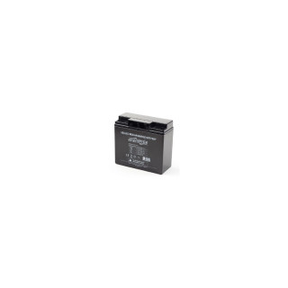 Gembird BAT-12V17AH/4 baterÍ­a para sistema ups Sealed Lead Acid (VRLA) 12 V 17 Ah