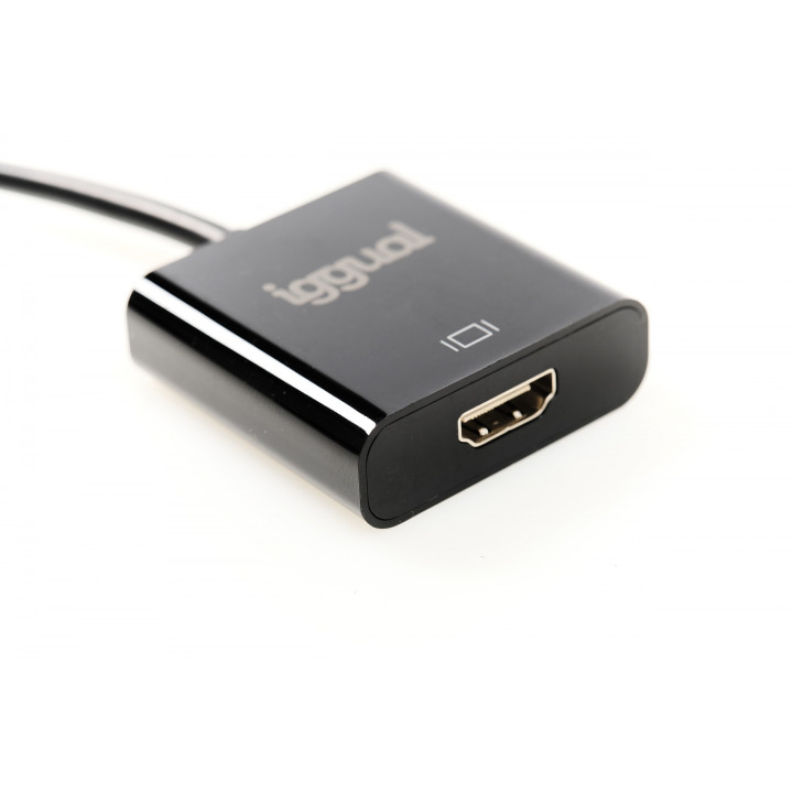 iggual IGG318041 adaptador de cable de vÍ­deo 0,25 m DisplayPort HDMI Negro