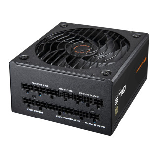 COUGAR CGRGLE-1000 unidad de fuente de alimentación 1000 W 20+4 pin ATX ATX Negro