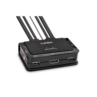 Lindy 42344 interruptor KVM Montaje en rack Negro