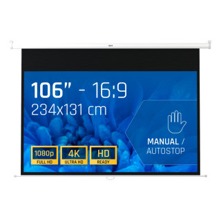 iggual PSIMS234 pantalla de proyección 2,69 m (106") 16:9