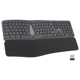 Ewent EW3290 teclado Universal RF inalámbrica + USB QWERTY Español Negro, Gris