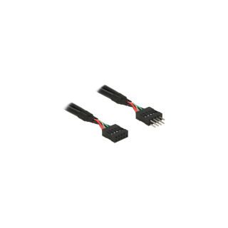 DeLOCK 0.1m 2xUSB2.0 10p cable USB 0,1 m USB 2.0 Negro