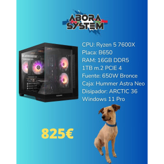 PC ABORA  Ryzen 5 7600X - 16GB Ram - 1Tb nvme