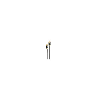 Gembird Active Optical AOC HDMI 10m cable HDMI HDMI tipo A (Estándar) Negro, Oro