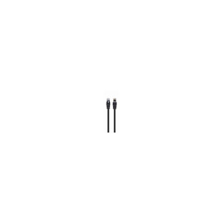 Gembird PP6U-0.25M/BK cable de red Negro 0,25 m Cat6 U/UTP (UTP)