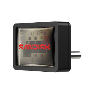 SanDisk Extreme Fit unidad flash USB 256 GB USB Tipo C 3.2 Gen 1 (3.1 Gen 1) Negro