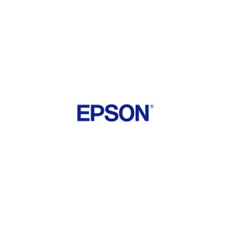 Epson Cleaning Stick S090013 (50 pcs)