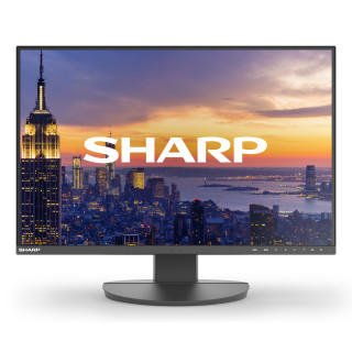 Sharp MultiSync EA242W pantalla para PC 61 cm (24") 1920 x 1200 Pixeles Full HD LCD Negro