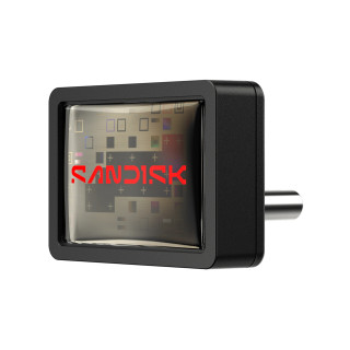 SanDisk Extreme Fit unidad flash USB 64 GB USB Tipo C 3.2 Gen 1 (3.1 Gen 1) Negro