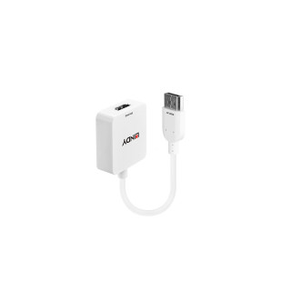 Lindy 38146 adaptador de cable de vídeo HDMI tipo A (Estándar) DisplayPort Blanco