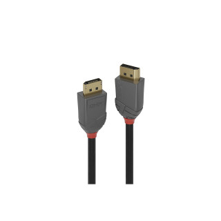 Lindy 36484 cable DisplayPort 5 m Negro, Gris