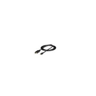 StarTech.com MDP2DPMM10 cable DisplayPort a mini DisplayPort - 3m Negro