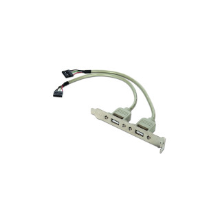 TARJETA CABEZAL BRACKET GEMBIRD USB 2.0 PANEL POSTERIOR 2X USB 0.25METROS CCUSBRECEPTACLE