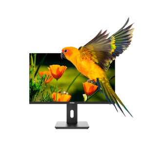 Nilox NXM24REG02 24" Regulable Full HD Monitor
